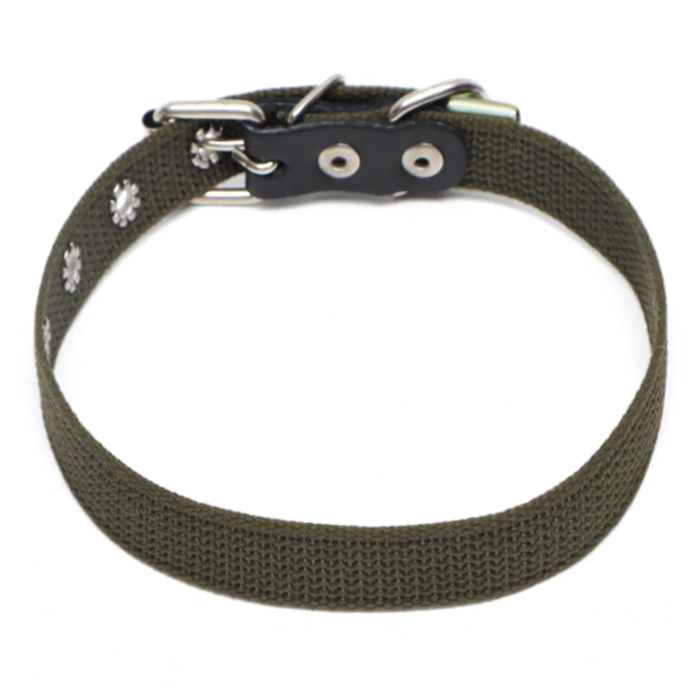 Ошейник брезентовый однослойный, 50 х 2 см, ОШ 25-35 см, хаки Ошейник брезентовый однослойный, 50 х 2 см, ОШ 25-35 см, хаки