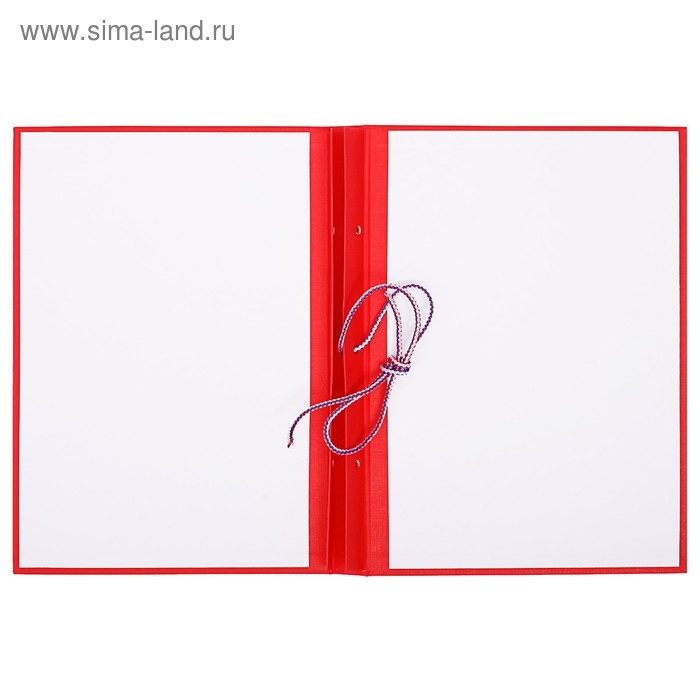 Папка Папка "Курсовой проект" А4, бумвинил, гребешки/сутаж, без бумаги, цвет красный (вместимость до 300 листов)