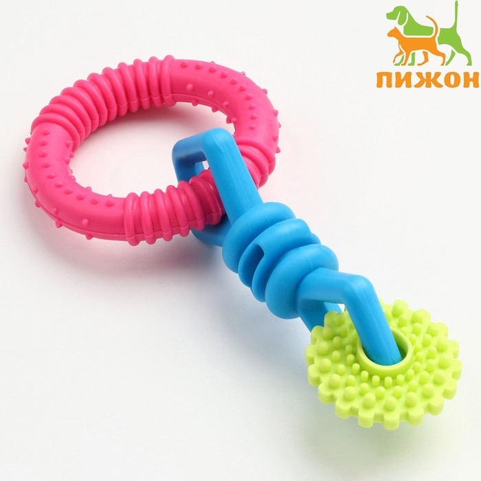 Игрушка жевательная Игрушка жевательная "Всегда вместе!", TPR, 18,5 см, круг/конфета/шестерёнка