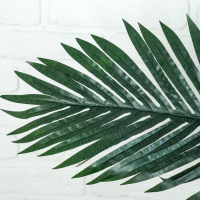 Дерево искусственное "Пальма" 140 см Дерево искусственное "Пальма" 140 см