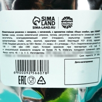 Жевательная резинка кислая &laquo;Рецепт кислых щей&raquo;, 45 г.