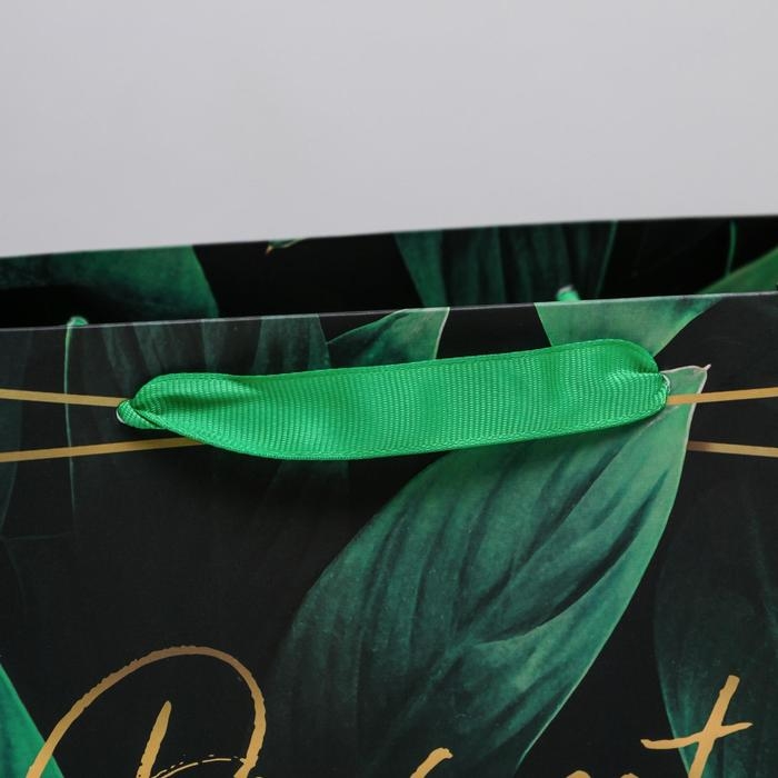 Пакет подарочный ламинированный горизонтальный, упаковка, Present for you, MS 23 х 18 х 10 см