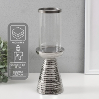 Подсвечник керамика, стекло на 1 свечу "Зебра Греви" d=8 см серебро 10х10х29,5 см Подсвечник керамика, стекло на 1 свечу "Зебра Греви" d=8 см серебро 10х10х29,5 см