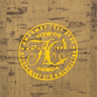 Сейф-книга дерево, кожзам "Кот в ванне. Пенсионный план" 21х13х5 см