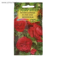 Семена комнатных цветов Бегония "Гоу-гоу", ц/п,  вишневая, F1, 4 шт.