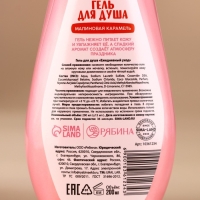 Новый Год. Гель для душа, 200 мл, аромат малиновой карамели