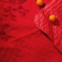 Плед для пикника Soft & Dry 2, красный