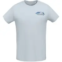 Футболка мужская &laquo;Мышка на севере&raquo;, голубая, размер M