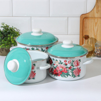 Набор кастрюль «Армель», 3 предмета: 2 л, 3 л, 4 л, эмалированные крышки, индукция Набор кастрюль «Армель», 3 предмета: 2 л, 3 л, 4 л, эмалированные крышки, индукция