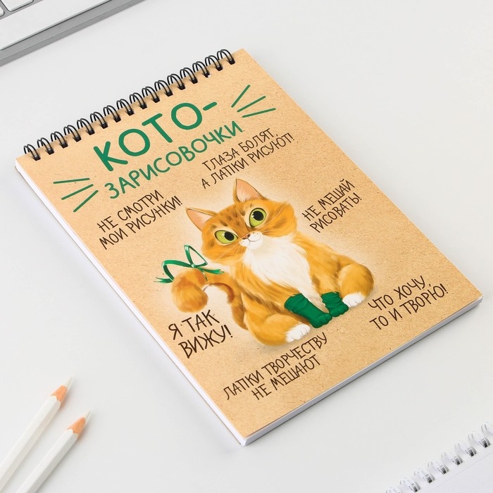 Скетчбук А5, 40 л 100 г/м2 &laquo;Котозарисовки&raquo;
