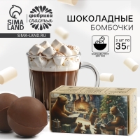 Шоколадная бомбочка с маршмеллоу в коробке &laquo;Животные&raquo; 2 шт х 35 г