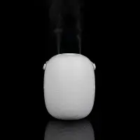 Переносной увлажнитель-ароматизатор PH14, белый