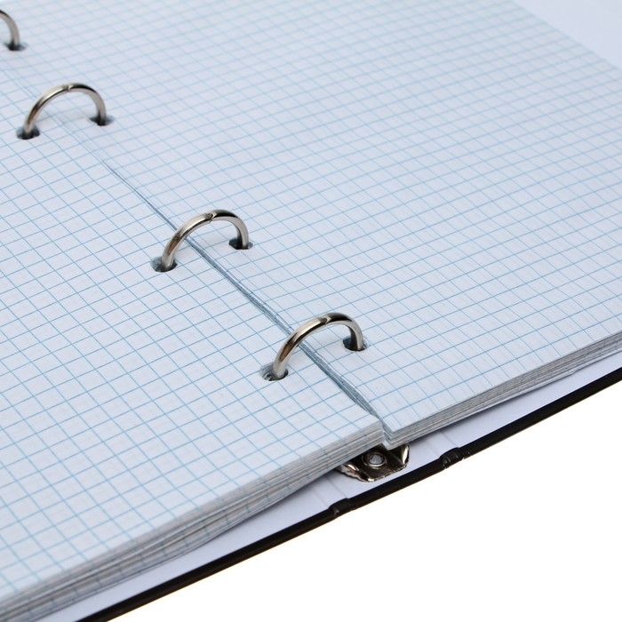 Тетрадь на кольцах A5 160 листов в клетку Calligrata "MonoTone", обложка 7БЦ, без вырубки под кольца, блок офсет