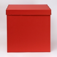 Коробка для воздушных шаров, Красная, 60 х 60 х 60 см Коробка для воздушных шаров, Красная, 60 х 60 х 60 см
