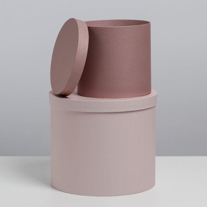 Набор коробок 5 в 1, упаковка подарочная, &laquo;Кофейный&raquo;, 13 х 14‒19.5 х 22 см