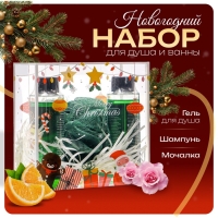 Новогодний подарочный набор косметики &laquo;Волшебница зима&raquo; для душа и ванны. Зеленая серия