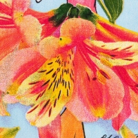 Набор кухонных полотенец Доляна &laquo;&laquo;Самая очаровательная&raquo;&raquo; 35х60 см - 2шт, 100% хл