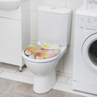 Сиденье для унитаза с крышкой &laquo;Плюмерия&raquo;, 40&times;37 см