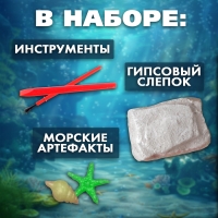 Набор для раскопок «Сокровища океана» Набор для раскопок «Сокровища океана»
