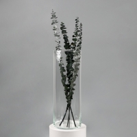 Ваза "Трубка-147" h-40см, d-14см, V=6,2л  (толщина стекла 2мм)