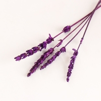 Набор сухоцветов "Лаванда", банч длина 15 (+/- 6 см), сиреневый