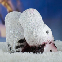 Подвесной декор "Совы на сучке" малые, 17х10см, МИКС Подвесной декор "Совы на сучке" малые, 17х10см, МИКС