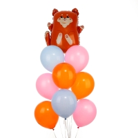 Набор воздушных шаров "Сиба-ину", фольга, латекс, 9 шт. Набор воздушных шаров "Сиба-ину", фольга, латекс, 9 шт.