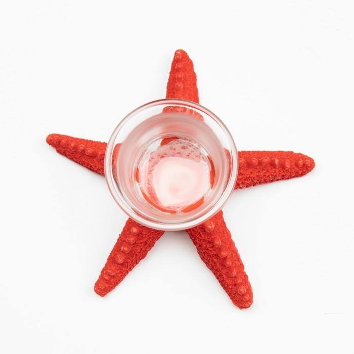 Подсвечник Подсвечник "Морская звезда" 13*8см