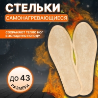 Стельки для обуви, самонагревающиеся, р-р RU до 38 (р-р Пр-ля до 43), 25 см, пара, цвет бежевый Стельки для обуви, самонагревающиеся, р-р RU до 38 (р-р Пр-ля до 43), 25 см, пара, цвет бежевый