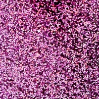 Набор для творчества &laquo;Декор: блёстки&raquo;