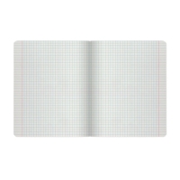 Тетрадь 48 листов в клетку ANIME. FREEDOM, обложка мелованный картон, матовая ламинация, МИКС