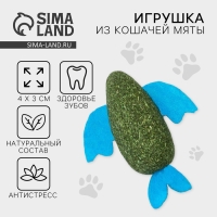 Игрушка для кошек &laquo;Рыба&raquo; из кошачьей мяты, 8 х 2.5 см