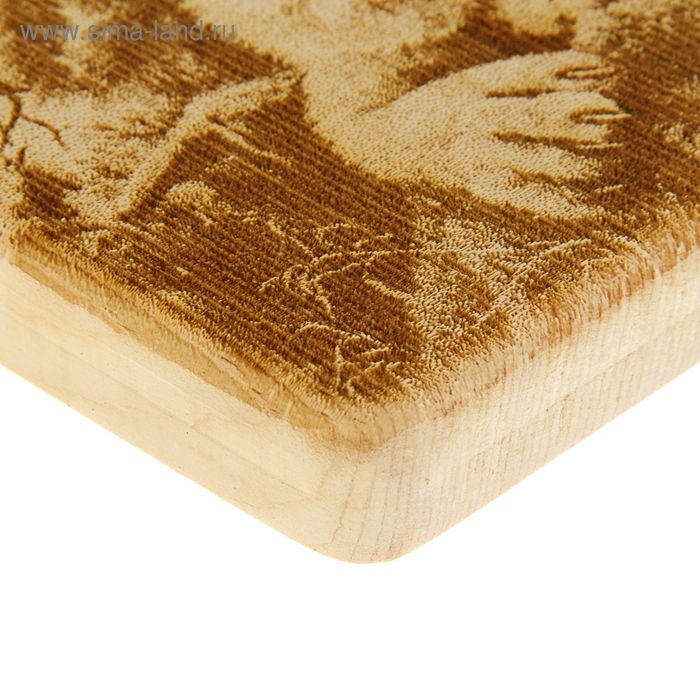 Доска из массива кедра &laquo;Рысь&raquo;, квадратная, 18 &times; 18 см