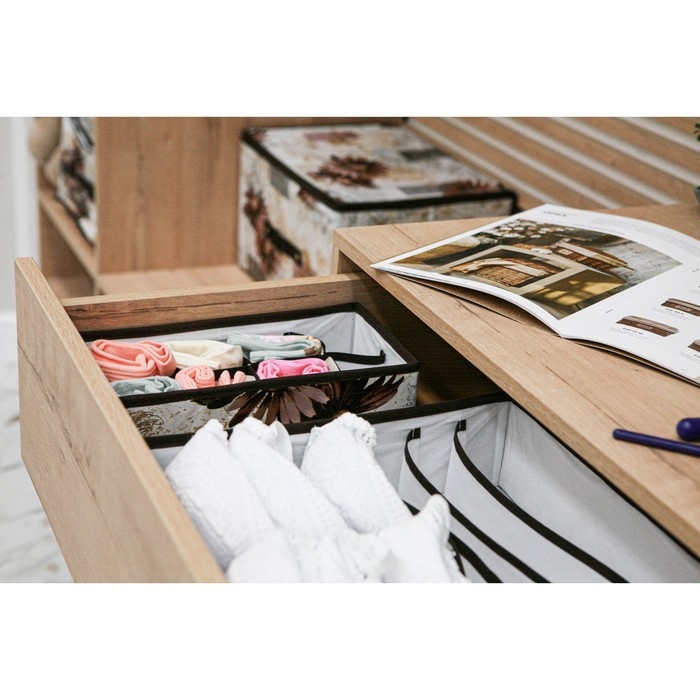 Органайзер для хранения белья Доляна &laquo;Астра&raquo;, 8 ячеек, 28&times;14&times;10 см, цвет коричневый