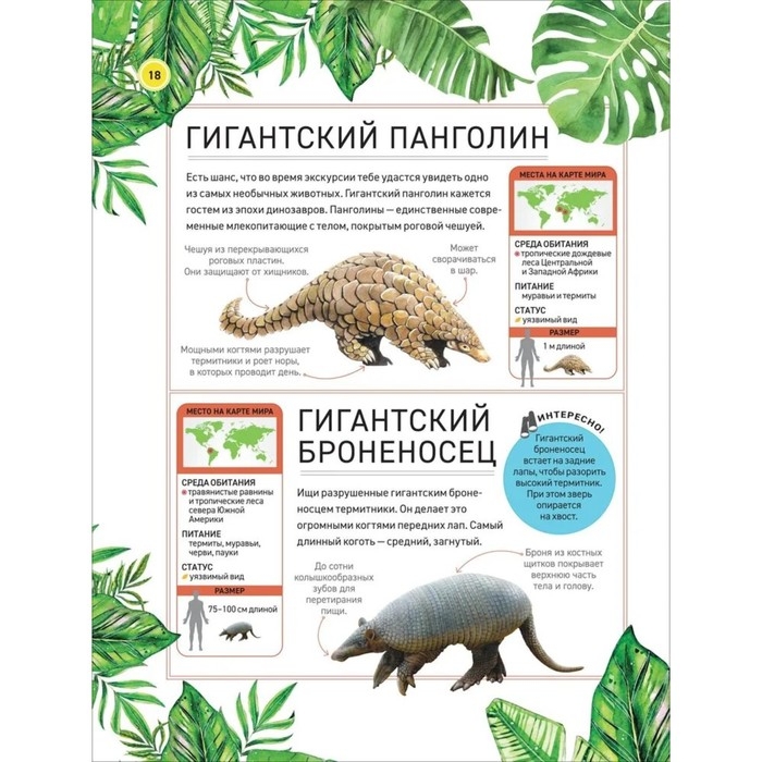 Энциклопедия &laquo;Удивительные животные&raquo;