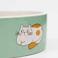 Миска керамическая "Котяры" 300 мл 12,5 x 4,5 cм, бело-зелёная Миска керамическая "Котяры" 300 мл 12,5 x 4,5 cм, бело-зелёная