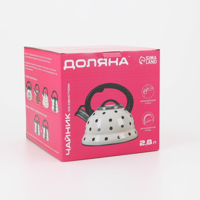 Чайник со свистком из нержавеющей стали Доляна &laquo;Рио&raquo;, 2,8 л, фиксированная ручка, цвет хромированный