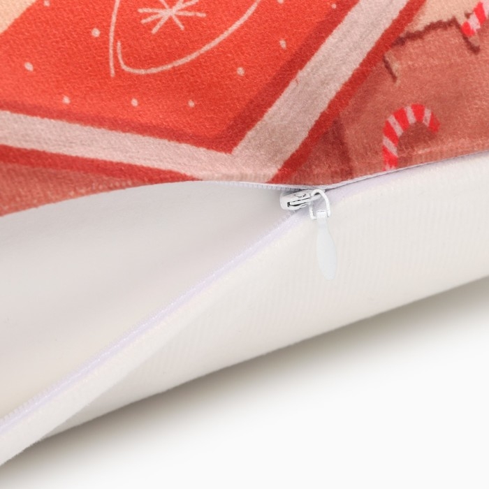 Новый год. Символ года. Змея. Чехол на подушку Этель &laquo;Домашний уют&raquo; 40х40 см, велюр