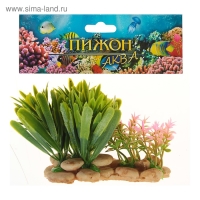 Растение искусственное аквариумное на подставке под камень, 14 х 11 х 7 см Растение искусственное аквариумное на подставке под камень, 14 х 11 х 7 см