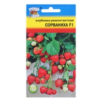 Семена Клубника ремонт. "СОРВАНИХА" F1,5 шт. Семена Клубника ремонт. "СОРВАНИХА" F1,5 шт.
