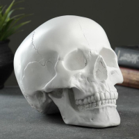 Копилка "Череп" белый, 16х13х22см Копилка "Череп" белый, 16х13х22см