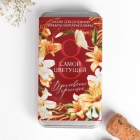 Подарочный набор сомелье &laquo;Самой цветущей&raquo;: штопор, пробка, каплеуловитель для вина