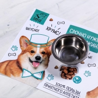 Коврик под миску &laquo;Срочно нужен обед и ужин&raquo; 43х28 см