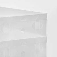 Коробка для хранения сапог с крышкой Uni size, 30&times;52&times;12 см, 2 шт