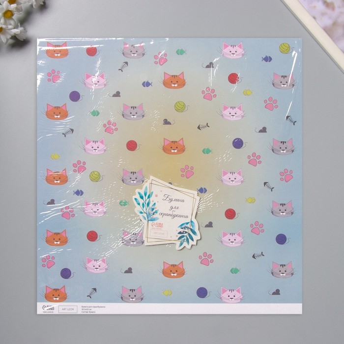 Бумага для скрапбукинга двусторонняя "Котики" плотность 180 гр набор 5 шт 30,5х32 см