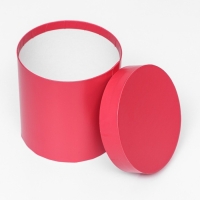 Набор  шляпных коробок 5 в1 "Viva Magenta Panton", 20 &times; 20 &times; 20‒14 &times; 14 х 14 см