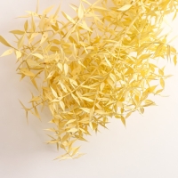 Набор сухоцветов "Рускус", банч 5-6 шт, длина 50-60 (+/- 6 см), желтый