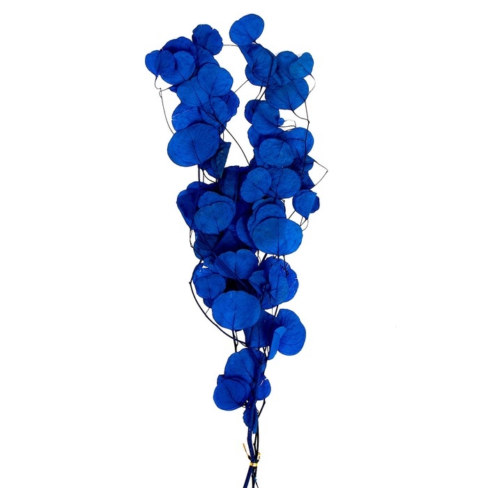 Сухоцвет персикого дерева, 50 г, длина &mdash; 70 см, цвет синий