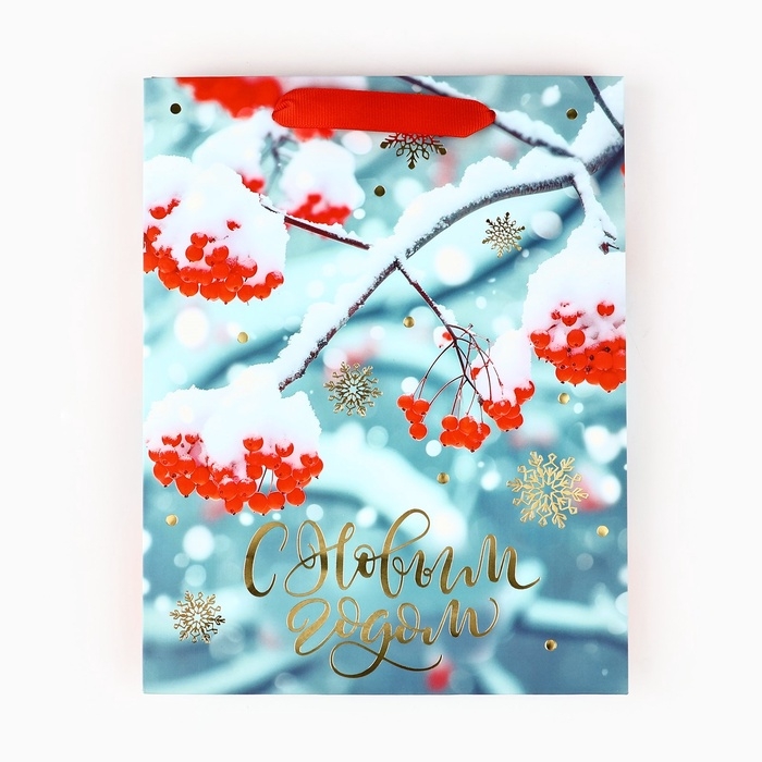 Пакет подарочный новогодний ламинированный &laquo;Рябина&raquo;, MS 23 x 18 х 10 см