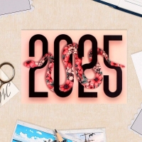 Набор карманных календарей "Символ года - 1" 2025 год, 7 х 10 см, 15 штук Набор карманных календарей "Символ года - 1" 2025 год, 7 х 10 см, 15 штук